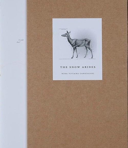 Nina Viviana Cangialosi, The Snow Abides