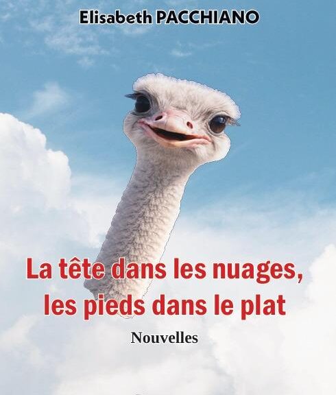Elisabeth Pacchiano La tête dans les nuages les pieds dans le plat