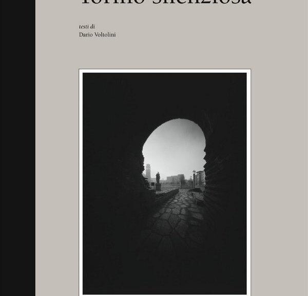 Guido Frizzoni, Torino Silenziosa