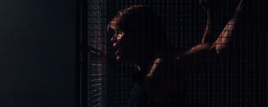 Roberto Zucco (Bernard-Marie Koltès / Rose Noël)