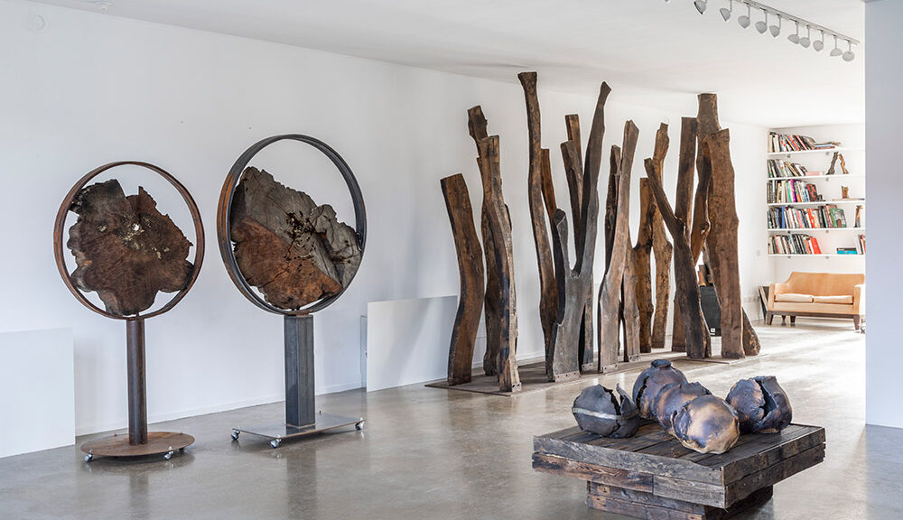 Maria Cristina Carlini, Materie vivante (exposition)