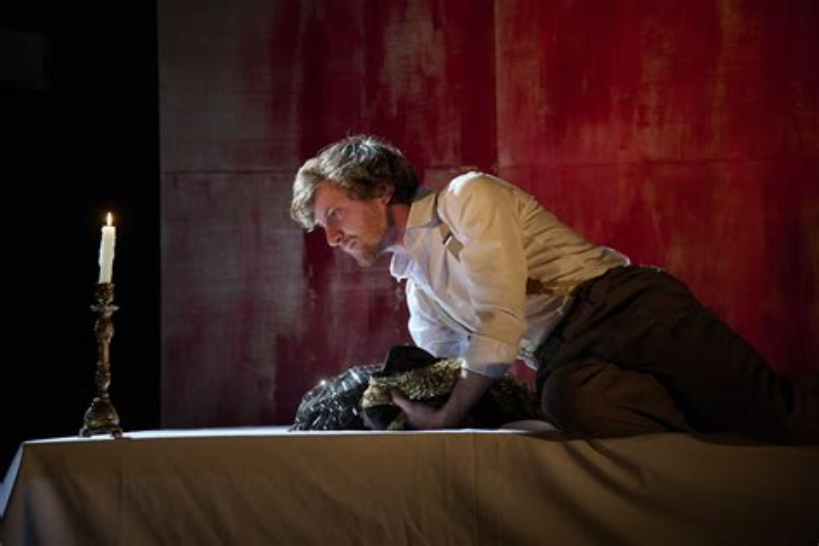 Le grand Meaulnes (Alain Fournier / Emmanuel Besnault)  - Avignon 2026
