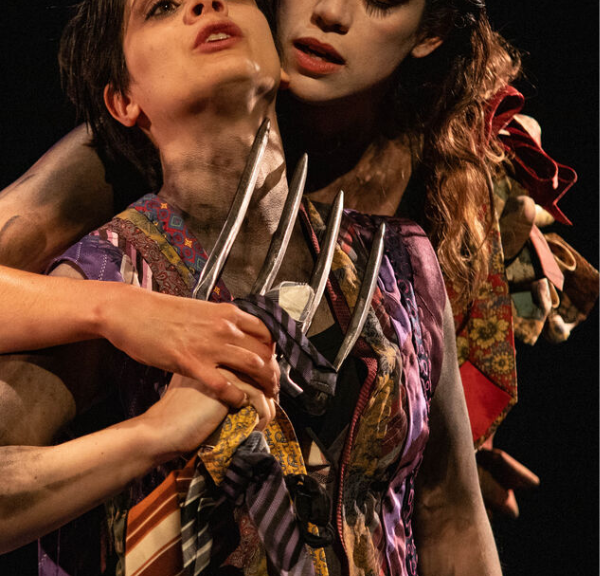 Richard III (Shakespeare / Laurent Domingos) - Avignon 2026