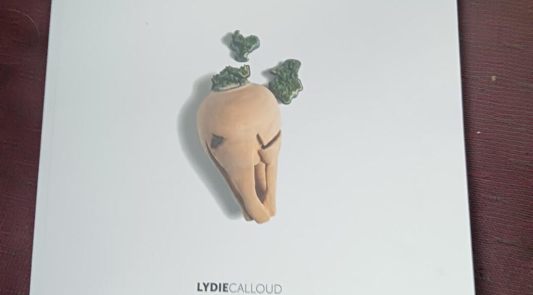 Lydie Calloud, Les voyages de l’astrolabe